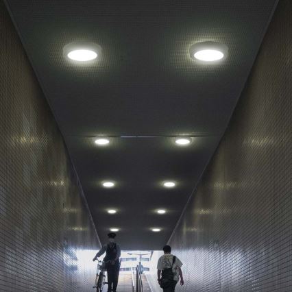 LED Stropna svetilka LED/12W/230V 6500K pr. 16,7 cm bela