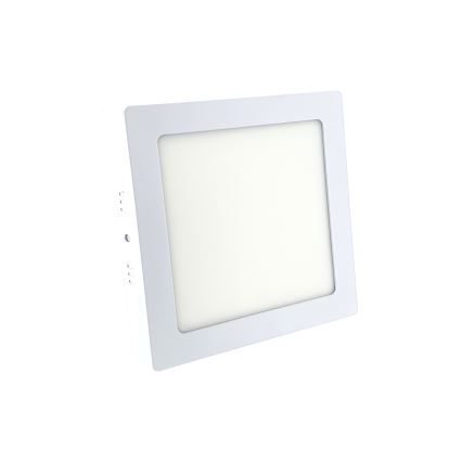 LED Stropna svetilka LED/12W/230V 6500K