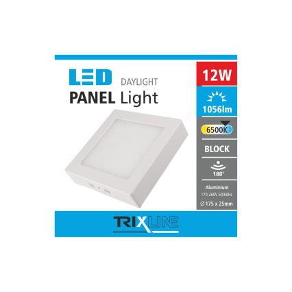 LED Stropna svetilka LED/12W/230V 6500K