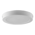 LED Stropna svetilka LED/12W/230V 6500K pr. 16,7 cm bela
