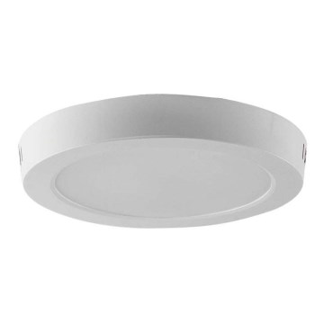 LED Stropna svetilka LED/12W/230V 6500K pr. 16,7 cm bela