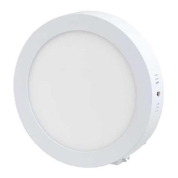 LED Stropna svetilka LED/12W/230V