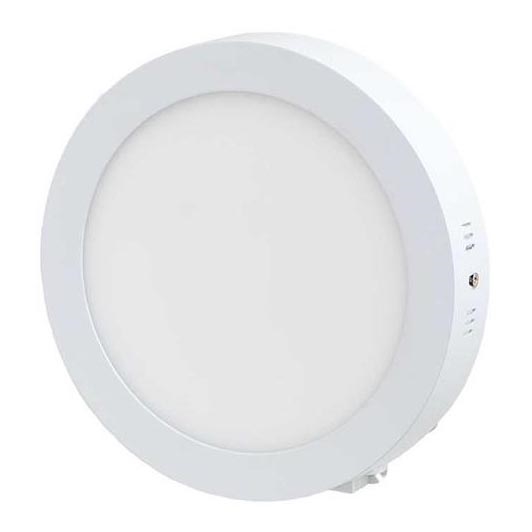 LED Stropna svetilka LED/12W/230V