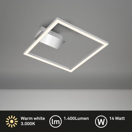 LED stropna svetilka LED/14W/230V matni krom