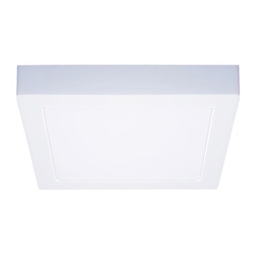 LED stropna svetilka LED/18W/230V 3000/4000/6000K 22,5x22,5 cm bela