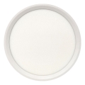 LED stropna svetilka LED/18W/230V 3000/4000/6500K, premer 23 cm, bela