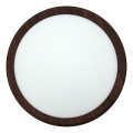 LED stropna svetilka LED/18W/230V 3000/4000/6500K, premer 23 cm, rjava