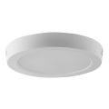 LED Stropna svetilka LED/18W/230V 3000K bela