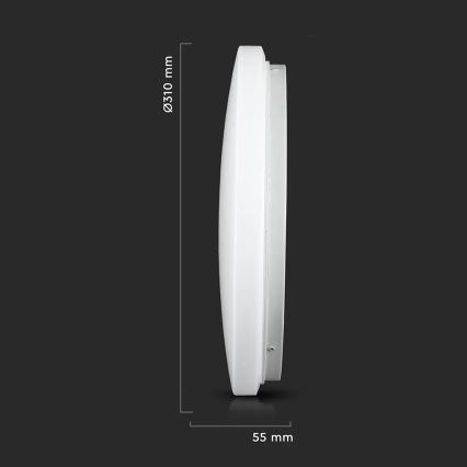 LED Stropna svetilka LED/18W/230V 31 cm 3000K/4000K/6400K