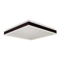 LED Stropna svetilka LED/18W/230V 4000K 35x35 cm črna