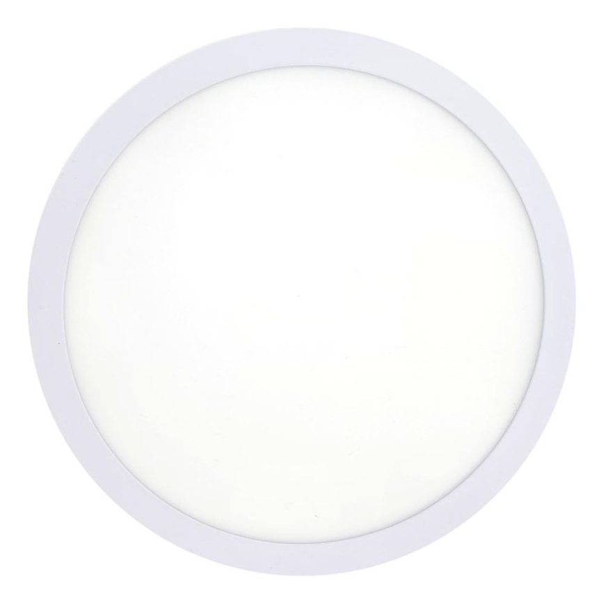 LED Stropna svetilka LED/18W/230V 4200K pr. 21 cm bela