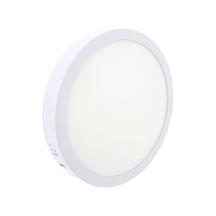 LED Stropna svetilka LED/18W/230V 4200K pr. 21 cm bela