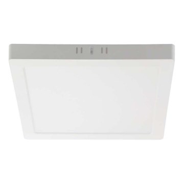 LED Stropna svetilka LED/18W/230V 6500K 21,4x21,4 cm bela