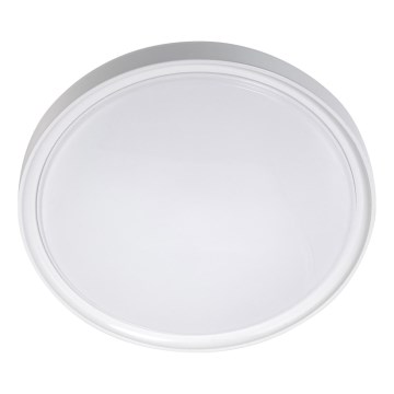 LED Stropna svetilka LED/18W/230V pr. 30 cm bela