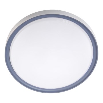 LED Stropna svetilka LED/18W/230V pr. 30 cm bela/siva