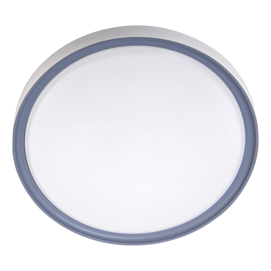 LED Stropna svetilka LED/18W/230V pr. 30 cm bela/siva