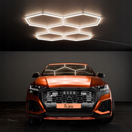 LED stropno svetilo HEXAGON LED/192W/85-265V 4000K 298x209 cm CRI 90 IP54 belo