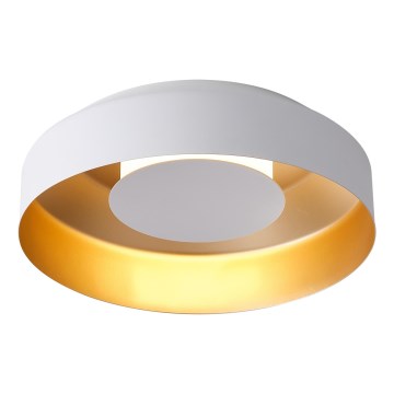LED Stropna svetilka LED/20W/230V 3000K bela
