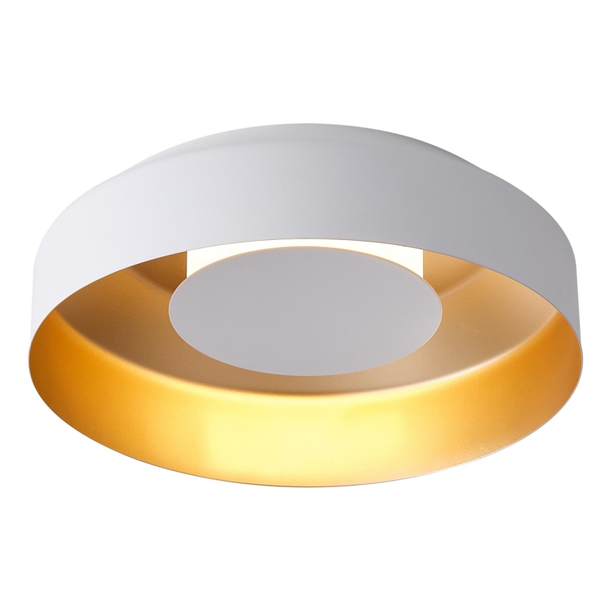 LED Stropna svetilka LED/20W/230V 3000K bela
