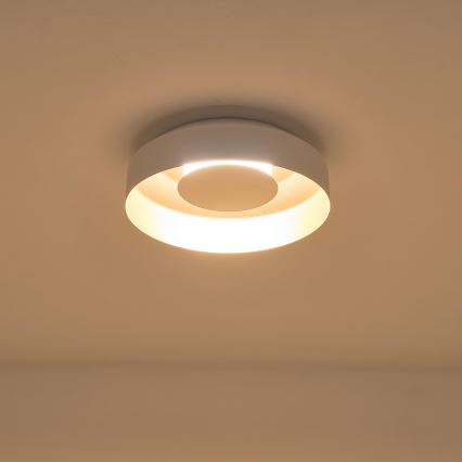 LED Stropna svetilka LED/20W/230V 3000K bela