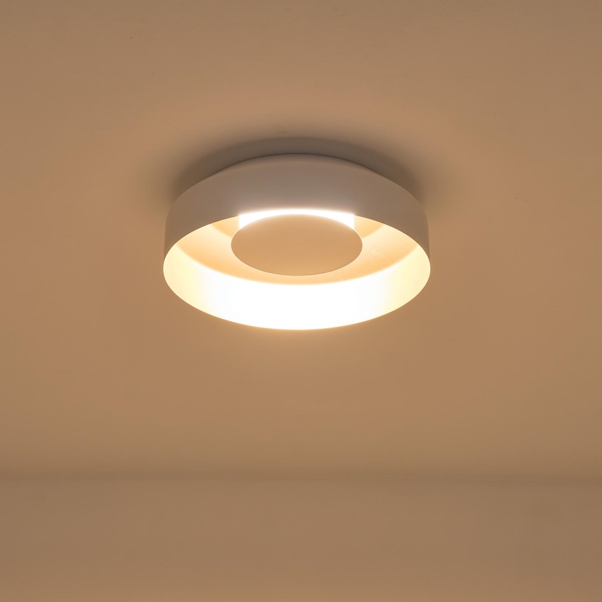 LED Stropna svetilka LED/20W/230V 3000K bela