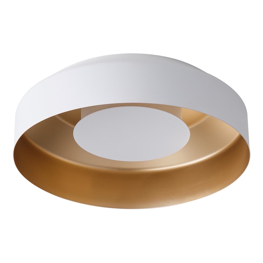LED Stropna svetilka LED/20W/230V 3000K bela