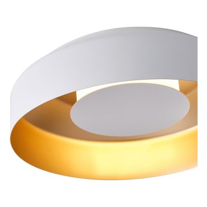 LED Stropna svetilka LED/20W/230V 3000K bela