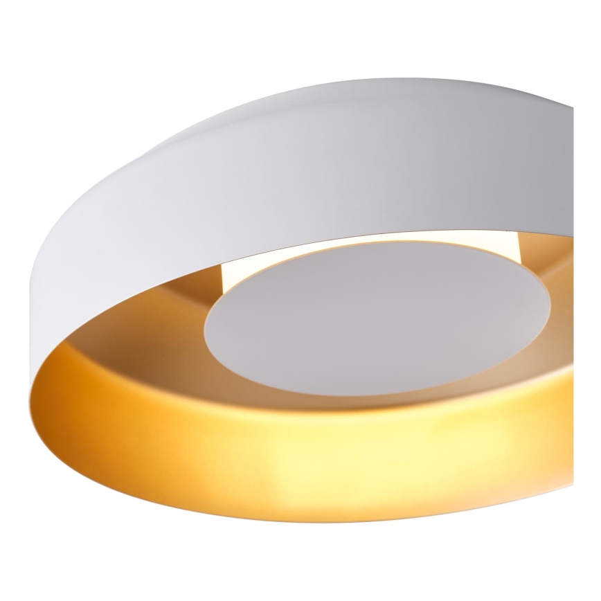 LED Stropna svetilka LED/20W/230V 3000K bela