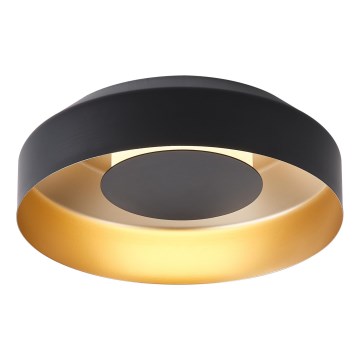 LED Stropna svetilka LED/20W/230V 3000K črna