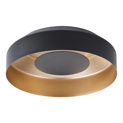 LED Stropna svetilka LED/20W/230V 3000K črna