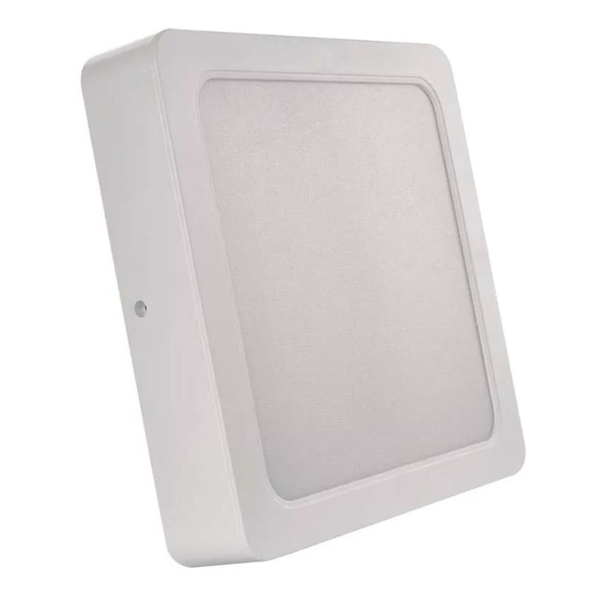 LED stropna svetilka LED/24W/230V 22x22 cm bela