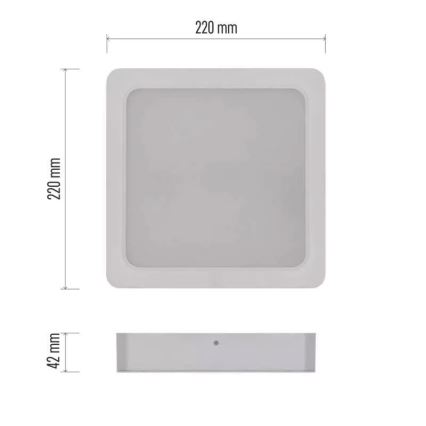 LED stropna svetilka LED/24W/230V 22x22 cm bela