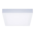 LED Stropna svetilka LED/24W/230V 3000/4000/6000K 30x30 cm bela