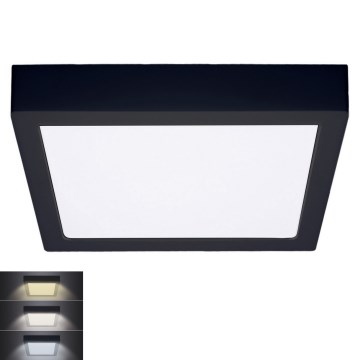 LED Stropna svetilka LED/24W/230V 3000/4000/6000K črna kotna