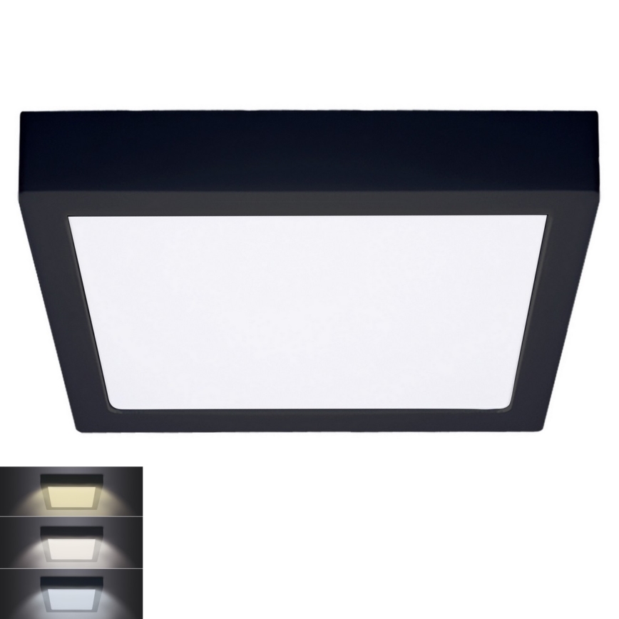 LED Stropna svetilka LED/24W/230V 3000/4000/6000K črna kotna