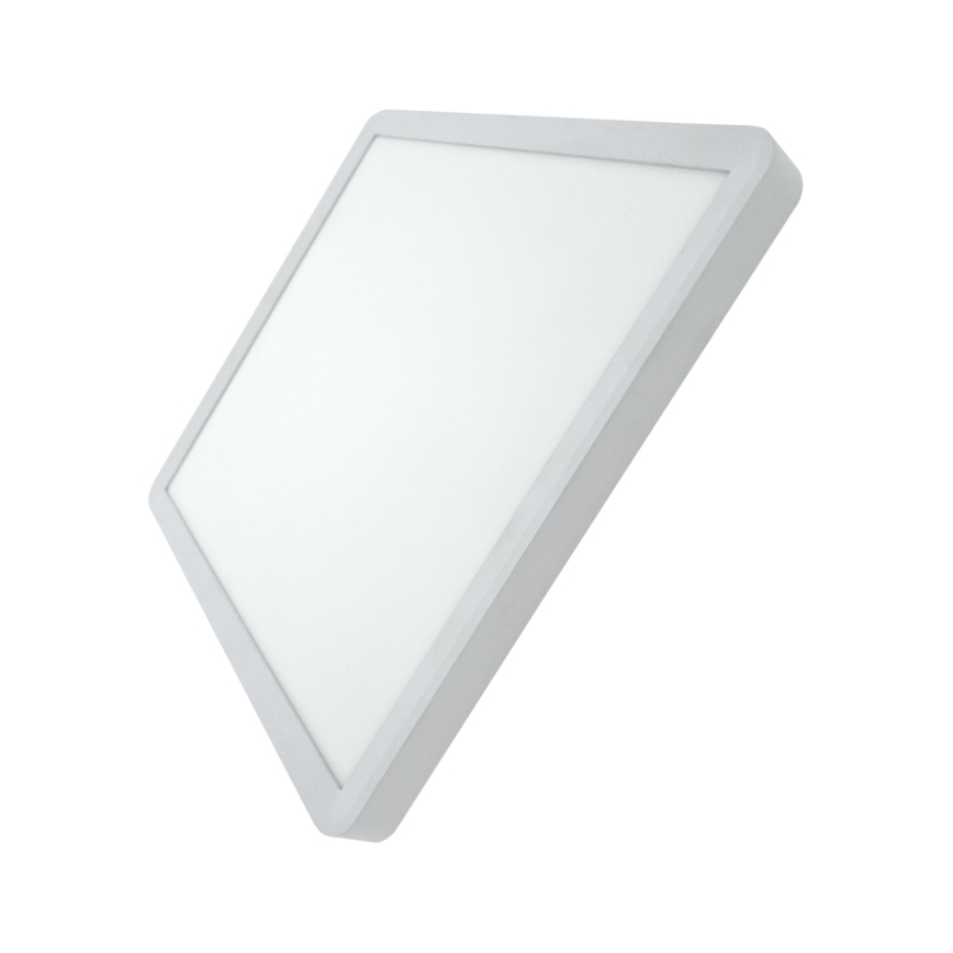 LED stropna svetilka LED/24W/230V 3000/4000/6500K 30x30 cm bela