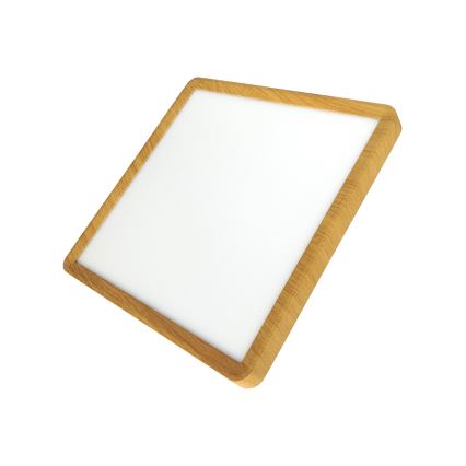 LED stropna svetilka LED/24W/230V 3000/4000/6500K 30x30 cm bežna