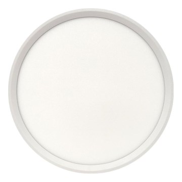 LED stropna svetilka LED/24W/230V 3000/4000/6500K premer 30 cm bela