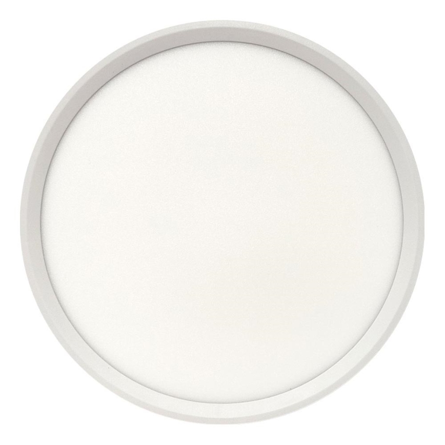 LED stropna svetilka LED/24W/230V 3000/4000/6500K premer 30 cm bela