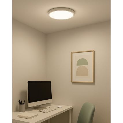 LED stropna svetilka LED/24W/230V 3000/4000/6500K premer 30 cm bela