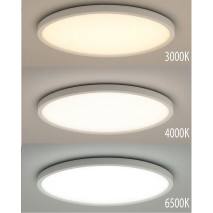 LED stropna svetilka LED/24W/230V 3000/4000/6500K premer 30 cm bela
