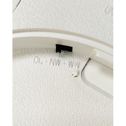 LED stropna svetilka LED/24W/230V 3000/4000/6500K, premer 30 cm, rjava