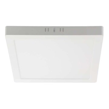 LED Stropna svetilka LED/24W/230V 3000K 28,7x28,7 cm bela