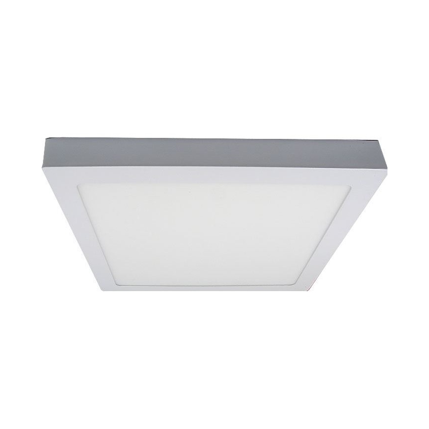 LED Stropna svetilka LED/24W/230V 3000K