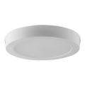 LED Stropna svetilka LED/24W/230V 3000K