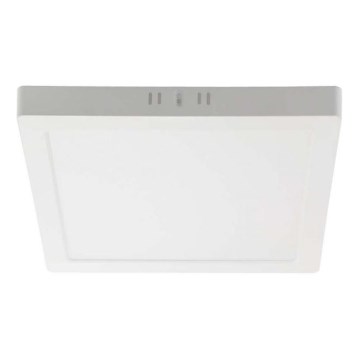 LED Stropna svetilka LED/24W/230V 4000K 28,7x28,7 cm bela