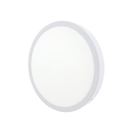 LED Stropna svetilka LED/24W/230V 4200K pr. 28,5 cm bela