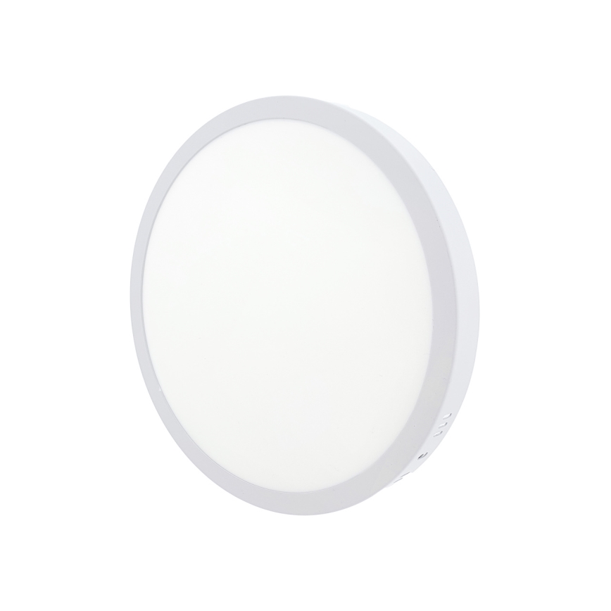 LED Stropna svetilka LED/24W/230V 4200K pr. 28,5 cm bela