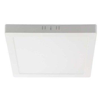LED Stropna svetilka LED/24W/230V 6500K 28,7x28,7 cm bela