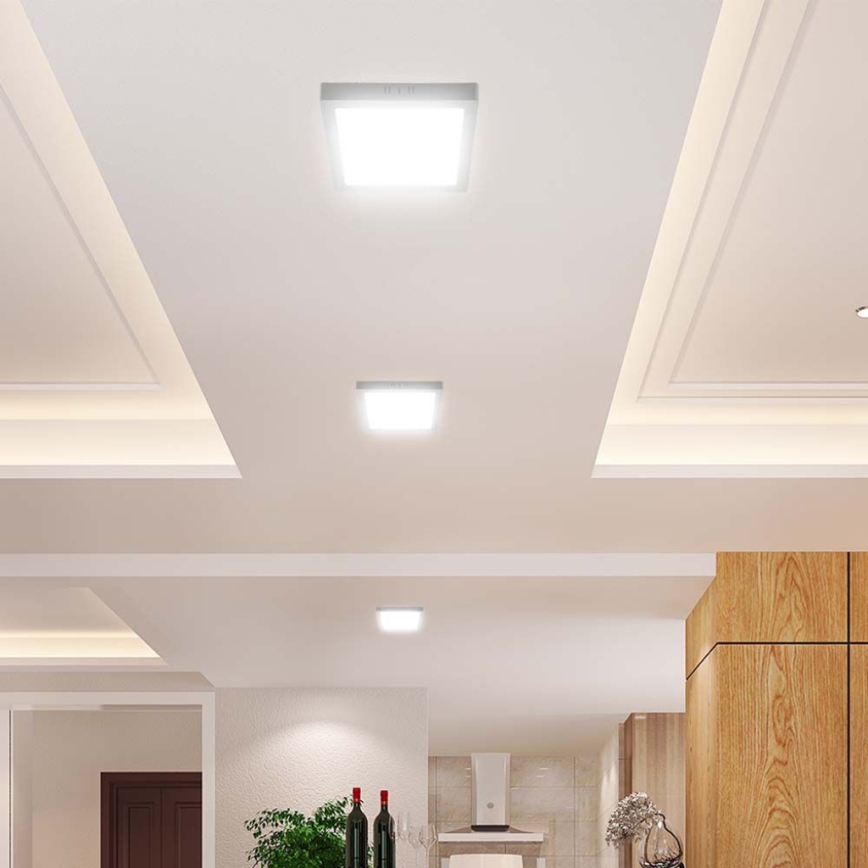 LED Stropna svetilka LED/24W/230V 6500K 28,7x28,7 cm bela